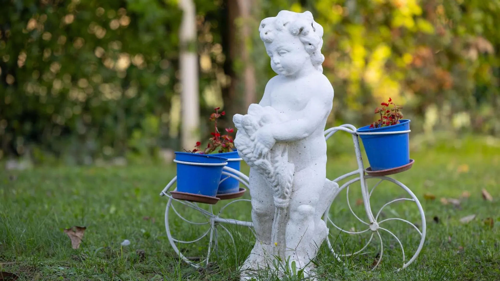 Dimora Naviglio Bed & Breakfast Dolo 3*,